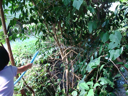 a0218430_0123635.jpg