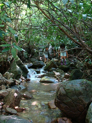 a0218430_074344.jpg