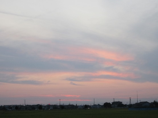 d0160931_18582319.jpg