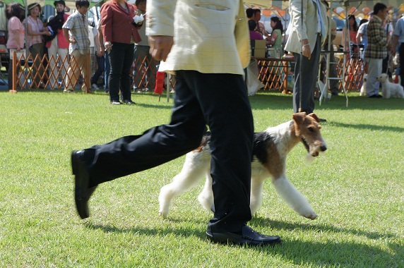 a0160236_6224330.jpg