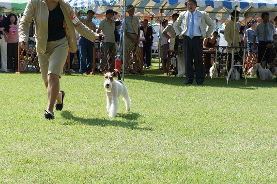 a0160236_623346.jpg