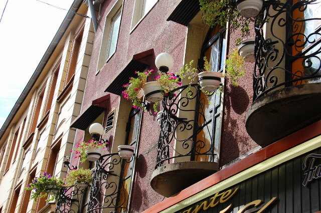 c0153740_20412937.jpg