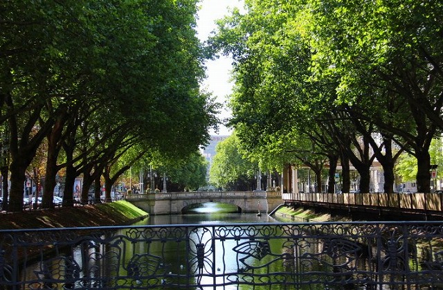 c0153740_20422923.jpg