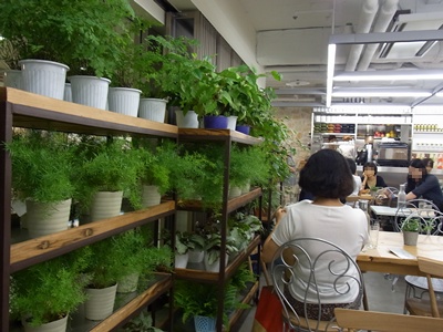カフェ4