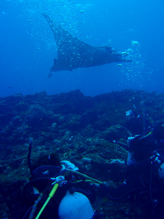 f0014842_17411117.jpg
