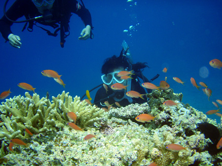 f0014842_17431751.jpg