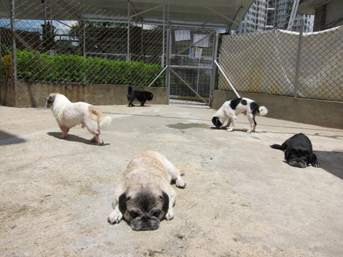 e0018143_0541575.jpg
