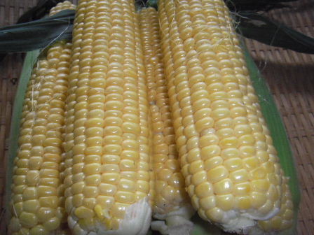 d0154344_13114994.jpg