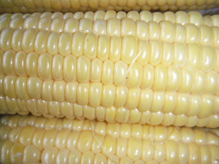 d0154344_13241030.jpg