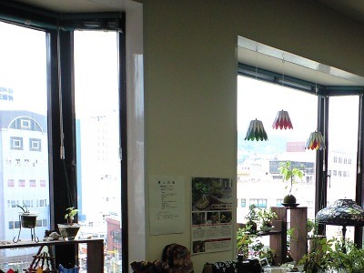 e0163044_16553561.jpg