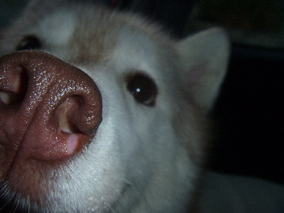 e0121548_2211370.jpg