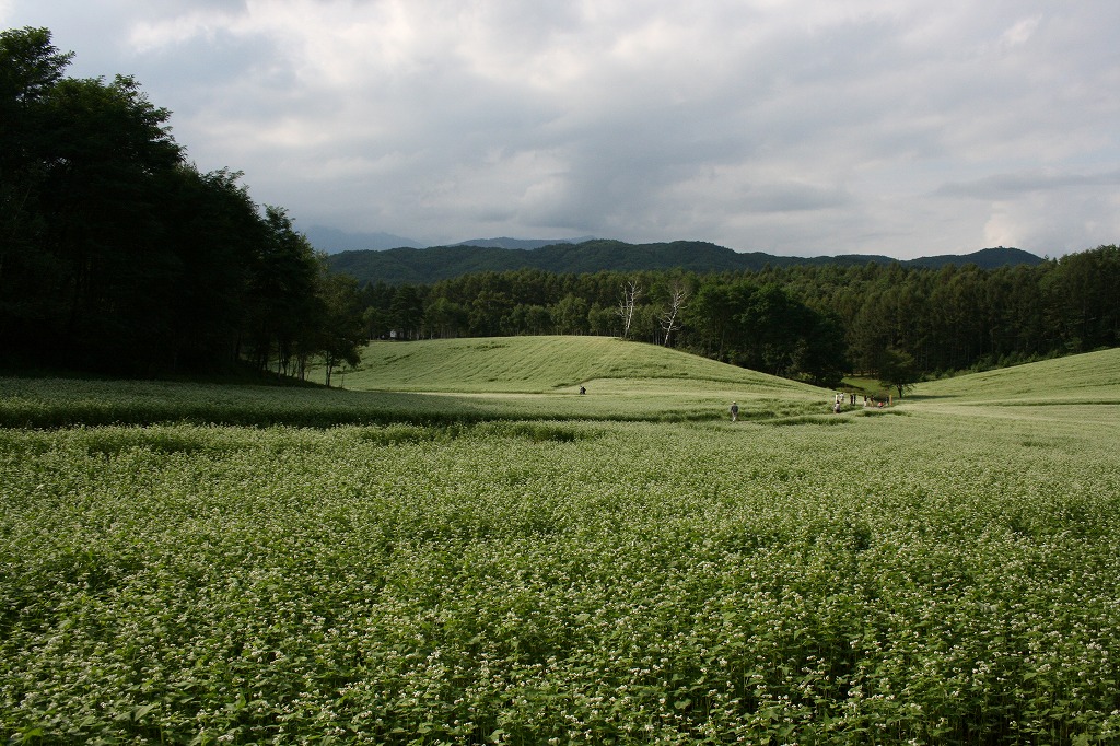 b0029350_14262414.jpg