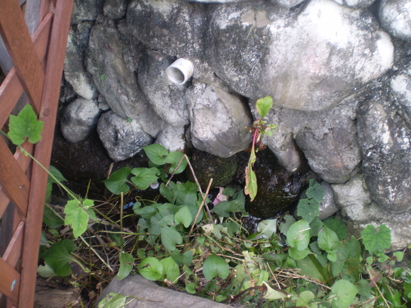 d0250051_15224498.jpg