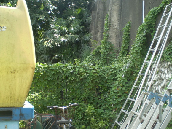 d0250051_1523553.jpg