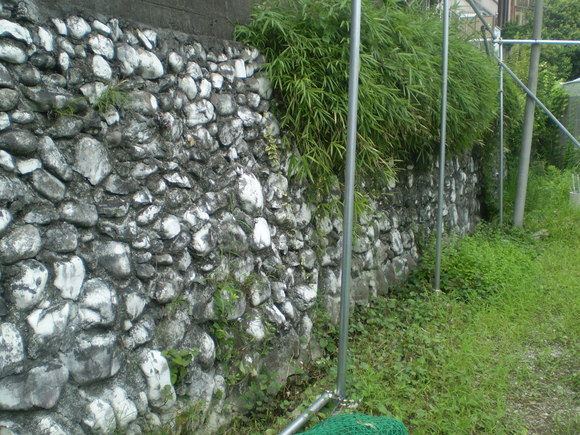 d0250051_15244815.jpg