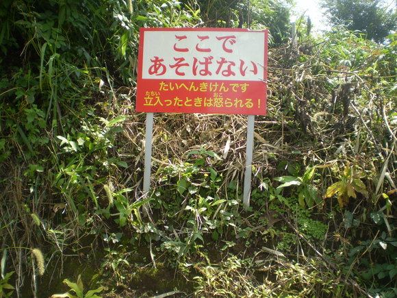 d0250051_1533582.jpg