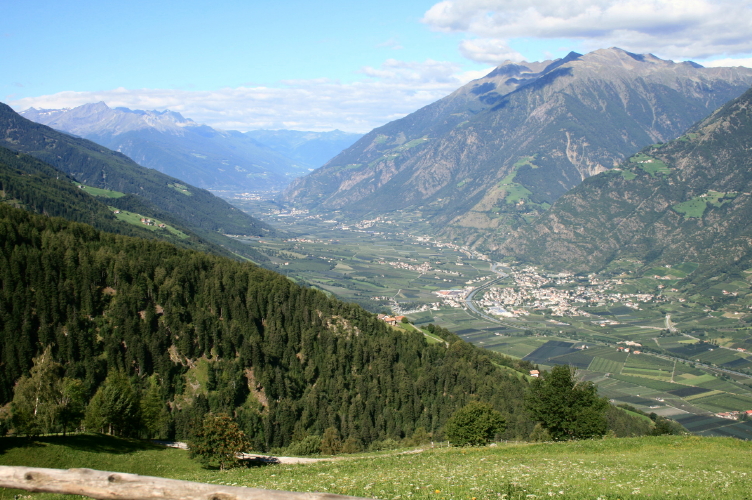 f0077159_6431698.jpg