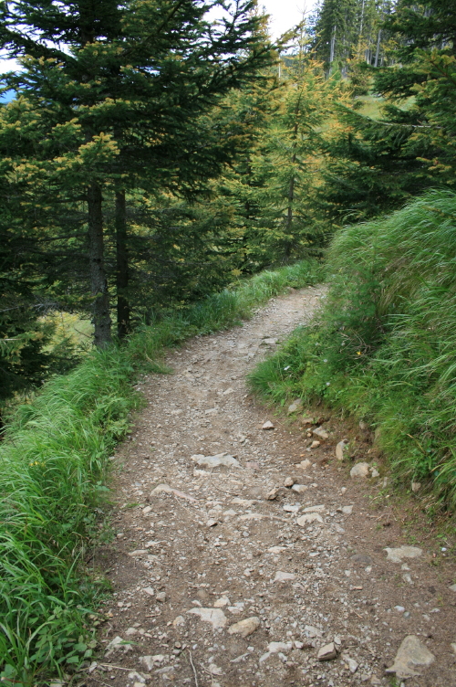 f0077159_6453173.jpg