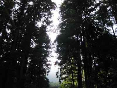 c0190960_725953.jpg