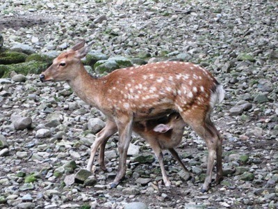 c0190960_735182.jpg
