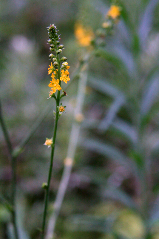 d0244960_948725.jpg