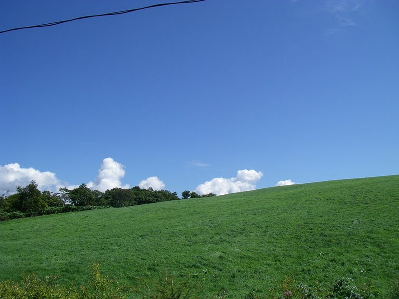 b0058563_22231581.jpg