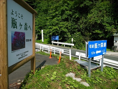 d0128465_180465.jpg