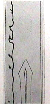 c0037384_11245251.jpg