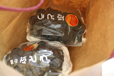 f0142986_15165529.jpg