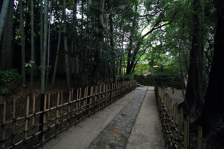 e0051888_2342410.jpg