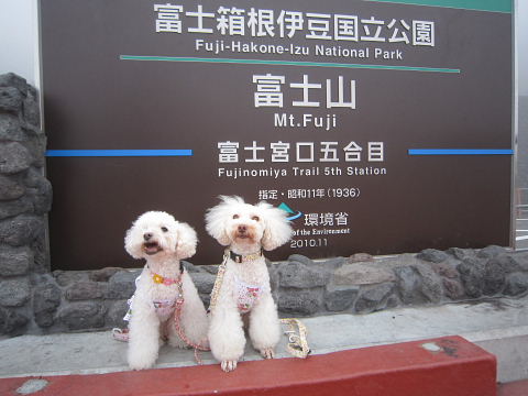 b0104592_21231285.jpg