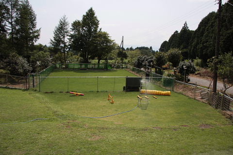 b0104592_21435137.jpg