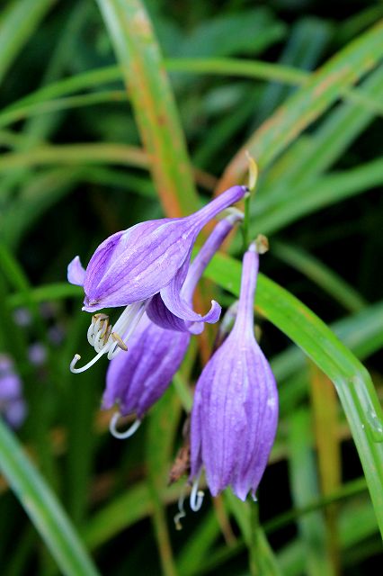 e0137200_2137107.jpg