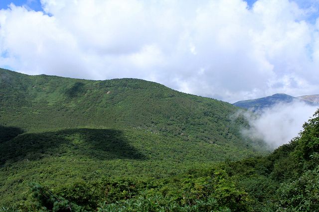e0137200_21593584.jpg