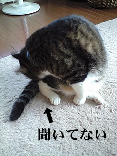 c0035001_14412470.jpg