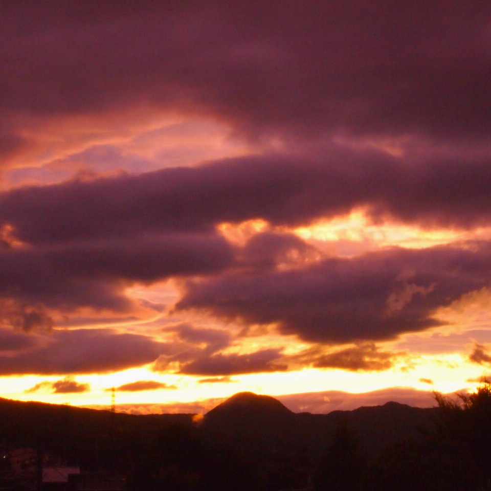 f0236201_1143050.jpg