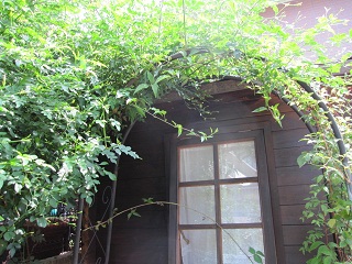 c0152002_10462025.jpg