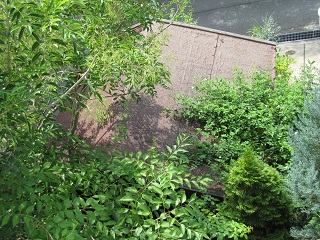 c0152002_1046302.jpg