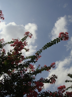 a0167803_10292054.jpg
