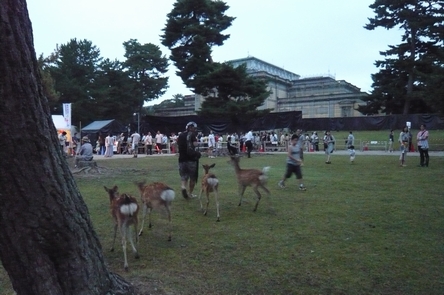 f0221708_21221814.jpg
