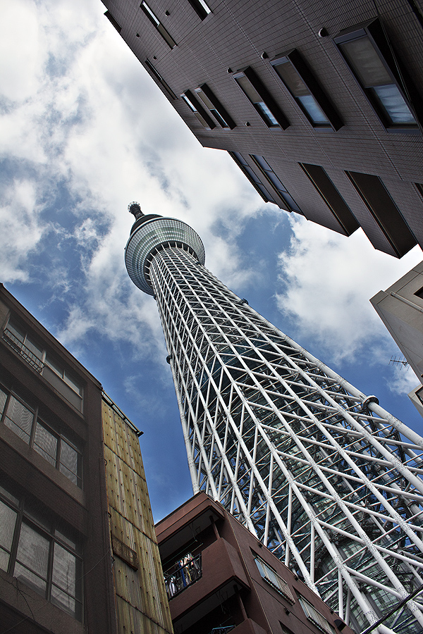 c0115616_2345874.jpg