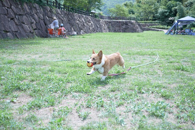 c0127617_16381923.jpg