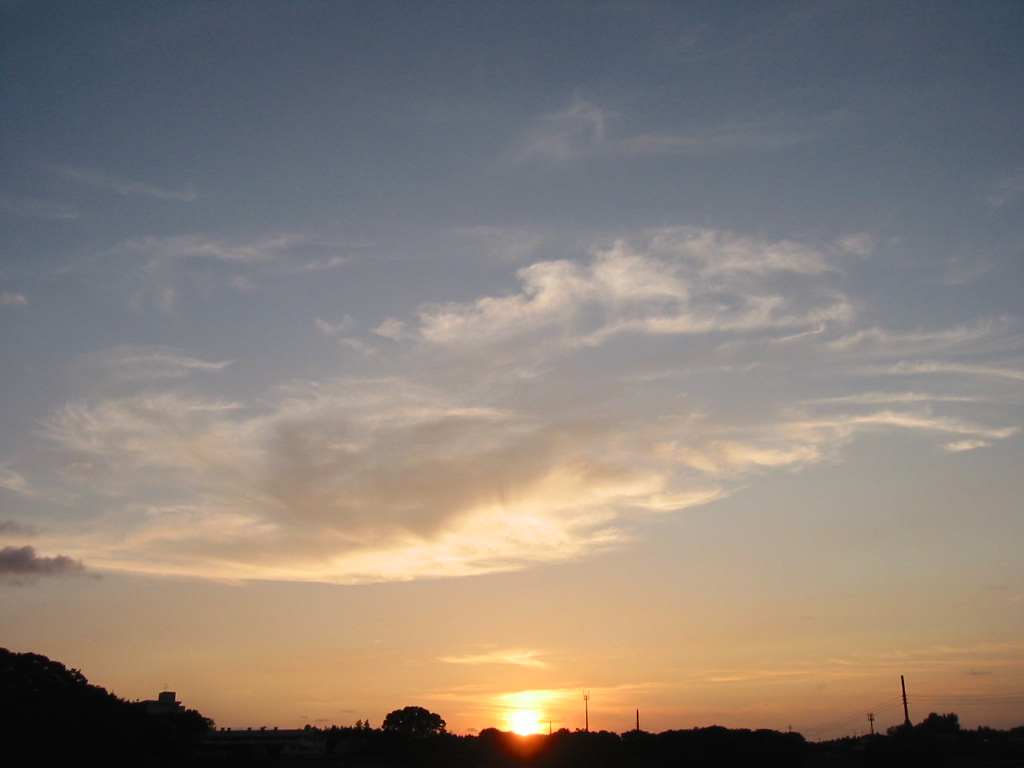 d0197317_17321242.jpg