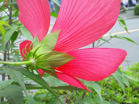 b0199924_1657293.jpg