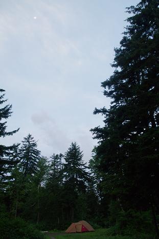 d0086526_8544186.jpg