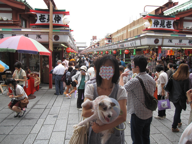 b0188228_2231880.jpg