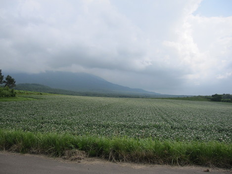 a0155430_1571445.jpg