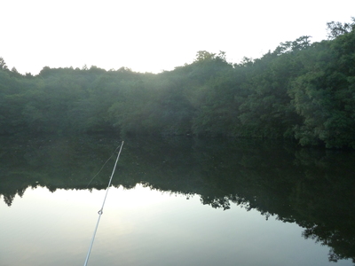 c0110236_13553516.jpg