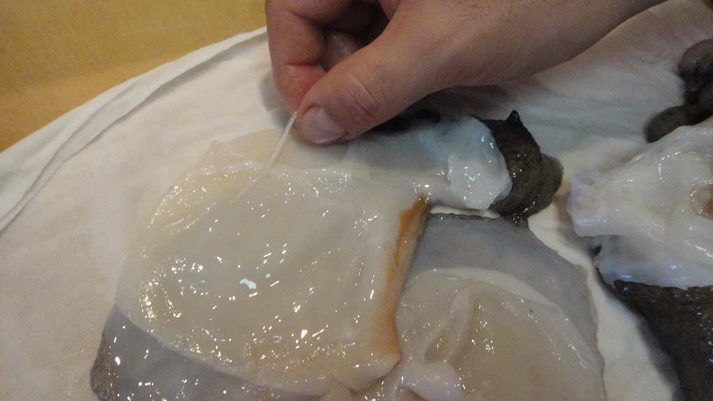 f0208737_754157.jpg