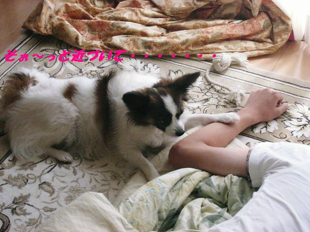 a0149240_912109.jpg